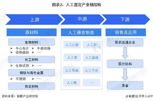 預(yù)見2024 中國人工器官行業(yè)全景圖譜——市場現(xiàn)狀、競爭格局與發(fā)展趨勢解析